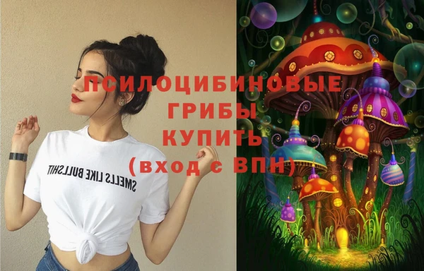 ECSTASY Белоозёрский