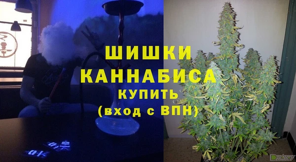 сатива Балабаново