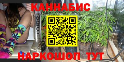 сатива Тверь