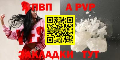 СК Тула