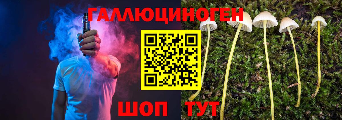 Ногинск  Псилоцибиновые грибы прущие грибы  Галлюциногенные грибы GOLDEN TEACHER  Вход с VPN 